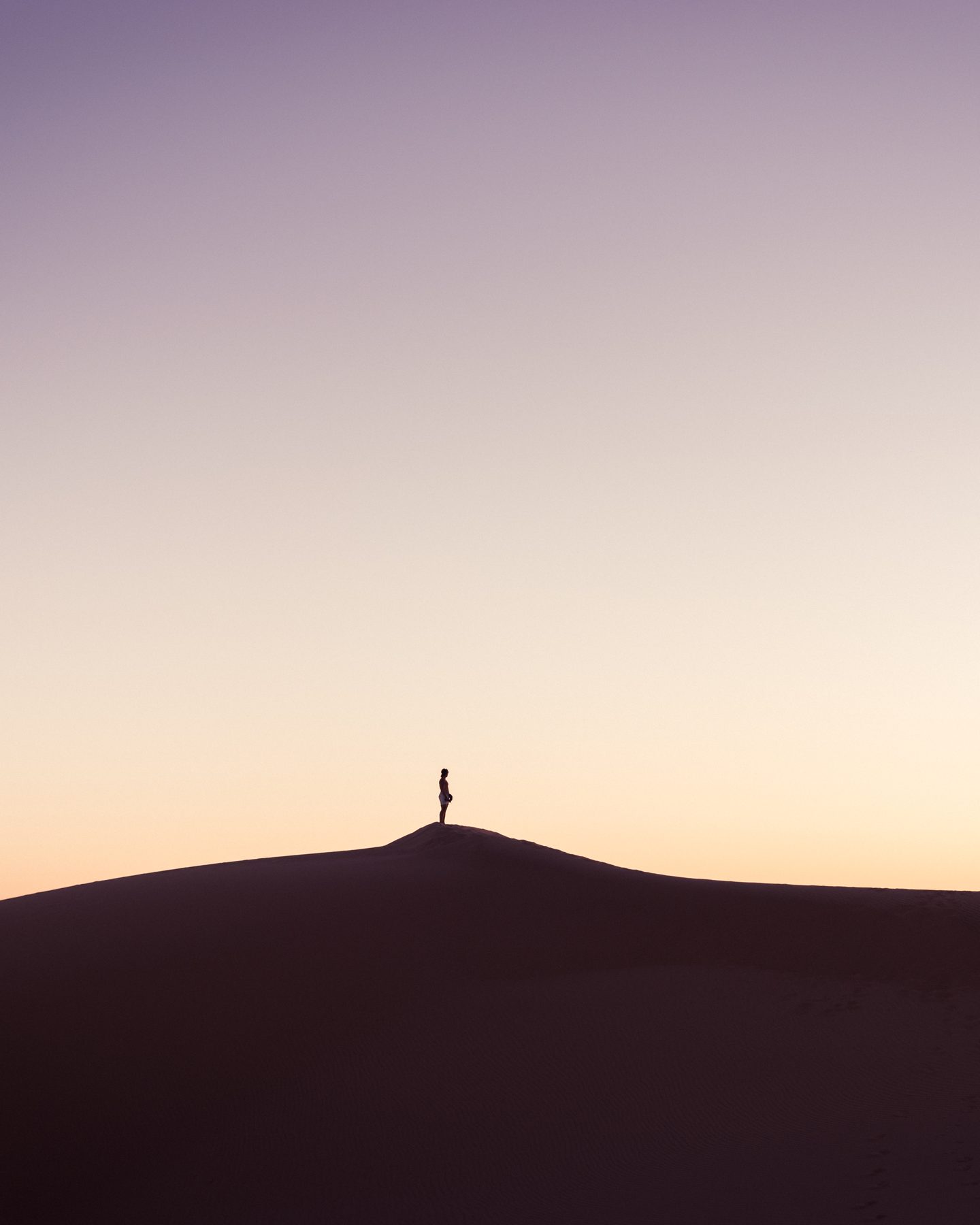 Brand Photography — dune silhouette